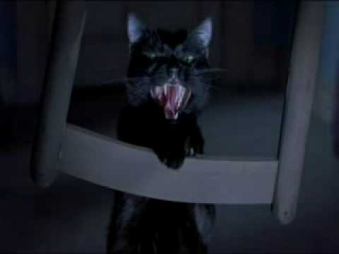 Attack Crazy For Your Love Attack Crazy For Your Love