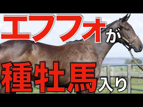 【偉大な実績】エフフォーリアが引退、社台SSで種牡馬入り！可能性を考える。