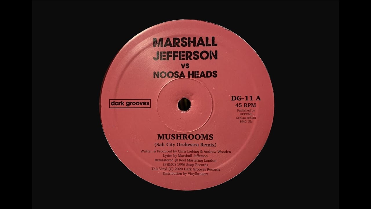 MARSHALL JEFFERSON vs NOOSA HEADS - MUSHROOMS [SALT CITY ORCHESTRA