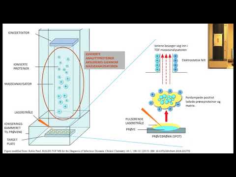 Video: Hva er et massespektrum i kjemi?