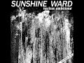 Sunshine ward  nuclear ambitions lp 2018