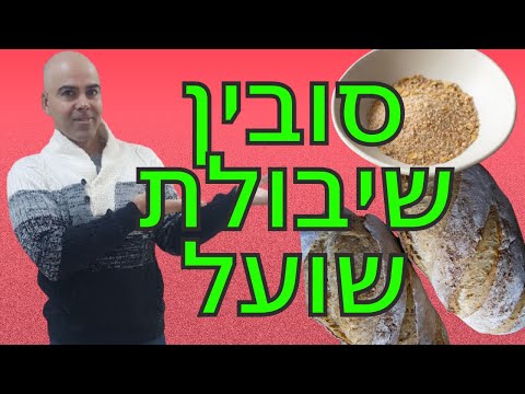 סובין שיבולת שועל, סובין שיבולת שועל דיאטה, סובין שיבולת שועל ערך תזונתי, סובין מתכונים, קובי עזרא