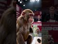 How much can a monkey push over his head?🦍⚡ #workout #ai #monkey #motivation #ad #energy #usa