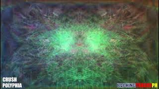 Crush by Polyphia Guitar Backing Track