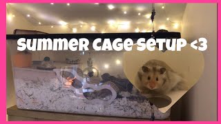 Cleaning my hamster enclosure | 2023 | ❤️🐾