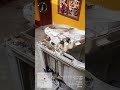 Whirlpool washing machine Chuha Pura machine ko Kat Diya #viral#shortvideo #birpur_supaul #trending