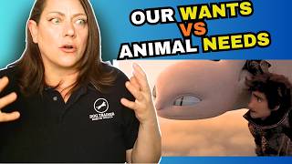 [EXTENDED BREAKDOWN] Animal Trainer Reacts: How To Train Your Dragon 3