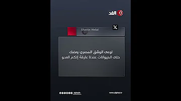 قط الوشق المصري يهاجم جنود الاحتلال ما القصة 