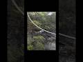 Only in China you will find this adventure and scenery #china #adventureexploring #youtubeshorts