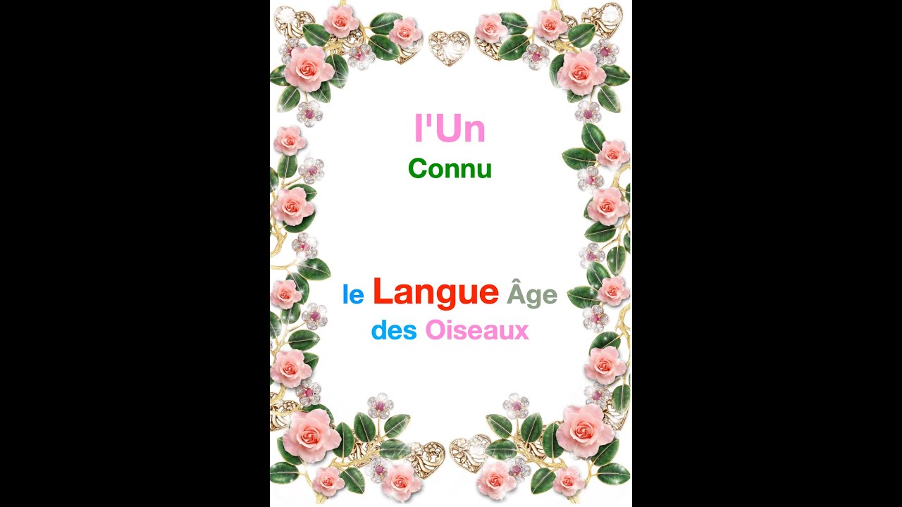 Patrick Burensteinas l'ABC de la Langue des Oiseaux" - YouTube
