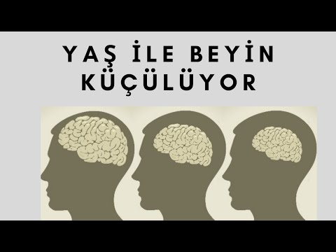 Beyin Küçülmesi, Bunama, Beyin Büzüşmesi, Yaşlılık, Serdar Akgün