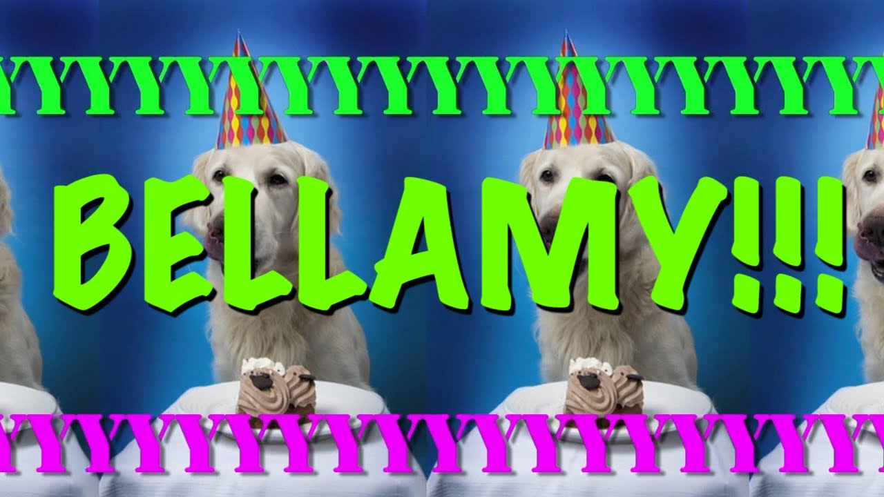 HAPPY BIRTHDAY BELLAMY! - EPIC Happy Birthday Song
