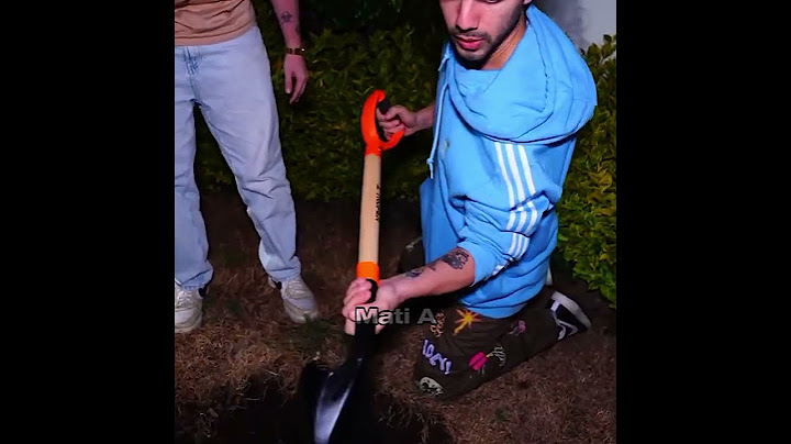 ENCONTRARON LA TUMBA DE LULU (LOURDES)!! @fedevigevani #viral #shorts #payasos  #fedevigevani