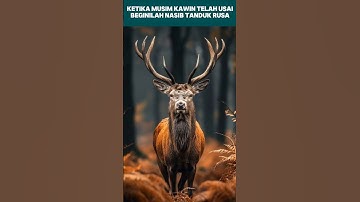 RUSA MELEPASKAN TANDUKNYA SENDIRI #rusa #hewanbesar #duniabinatang #faktaunik #faktamenarik