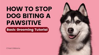 Stop Dog Biting A Pawsitive TrainingFREE PDF IN BIO
