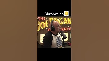 JRE - Post Malone: Stoned Ape Theory