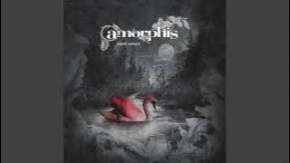 Amorphis - Silent Waters