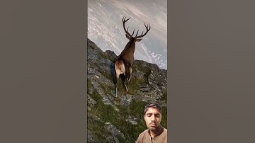 #egzonibrahimi #سورة_الإخلاص #ikhlas #shortvideo #nature