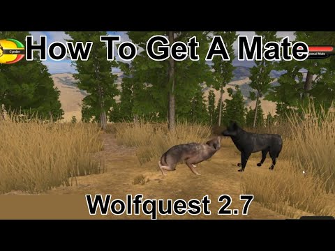 How To Find A Mate (Wolfquest 2.7)