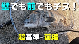 ヘチ釣りの基準を超える日。壁でも前でもチヌが喰う！(前半戦)