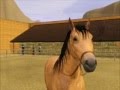 ~ Sims 3 ~ Spirit Stallion of the Cimarron ~ Part 3