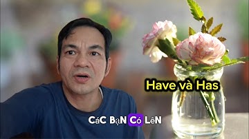 Have và Has và cách sử dụng thế nào?