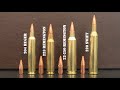 204 Ruger vs 223 Remington vs 22-250 Remington vs 220 Swift Review &amp; Comparison