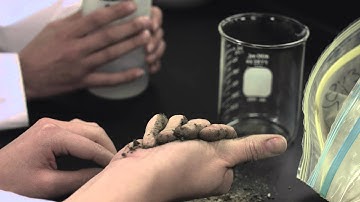 Grenfell Campus Bachelor of Science - General Science