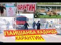 ПАЙШАНБА КАДАНДА КАРАНТИН/ДЕЗИНФЕКЦИЯ