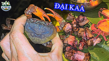 1 ĐÊM TRÊN NÚI CAO, SOI CUA ĐÁ, BẮT ẾCH - AE THỢ NÚI