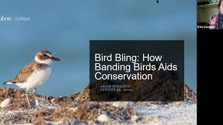 Bird Bling: How Banding Birds Aids Conservation