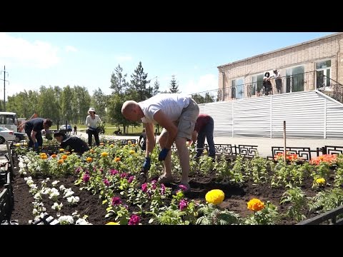 На берегу озера