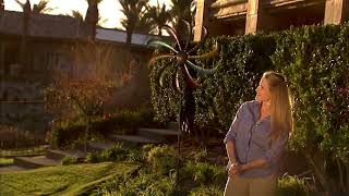 Bernini Solar Powered Windless Wind Spinner on QVC