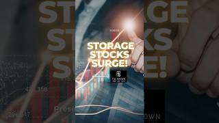 The 2026 Storage Stock Surge!