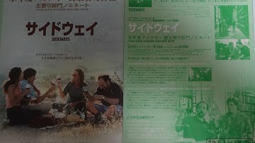 サイドウェイ (2005) 映画チラシ ポール・ジアマッティ トーマス・ヘイデン・チャーチ