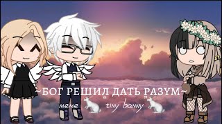 ~Бог решил дать дать разум~ меме про tiny banny🖤🐇