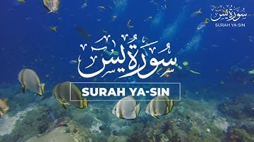Best Surah Yasin Full (Yaseen) سورة يس | Tranquility Marvelous Beautiful Voice | QURAN ZIKR