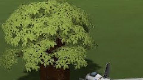 Kerbal Space Program - How to find and scan Bayobab trees on kerbin.