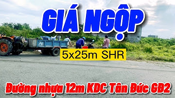 Bán Đất Nền KDC Tân Đức GĐ2 | CHÍNH CHỦ BÁN GẤP GIÁ RẺ | Cách 24A 80m | BĐS Đức Hòa - Ngô Phụng Land