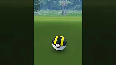 色違いルンパッパ