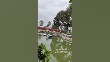 #sadec #shorts #flowers