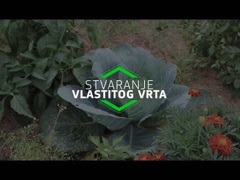 Video: Šljunak Za Stvaranje Jedinstvenog Vrta