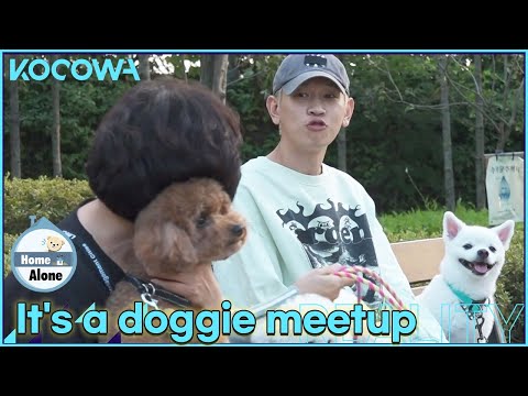 Adorable! Crush chats with local dog-loving ladies l Home Alone Ep 463 [ENG SUB]