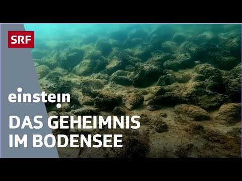 Video: Die besten Fotos der letzten Woche (19.-25. März) von National Geographic