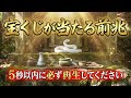 【宝くじ前兆】この白蛇を5秒見た人は強運の流れが動き出します｜金運覚醒の神域映像