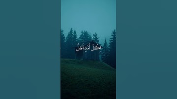 سورة يونس#عبدالرحمن_مسعد #القرآن_الكريم #اكسبلور #quranismylife #foryou #explore #viral #quran