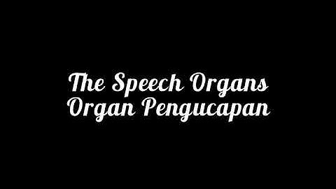The Speech Organs and Their Functions