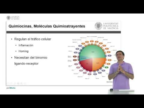 Vídeo: Los Microbiomas Asociados Al Huésped Se Predicen Por La Complejidad Del Sistema Inmunitario Y El Clima