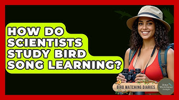How Do Scientists Study Bird Song Learning? - Bird Watching Diaries