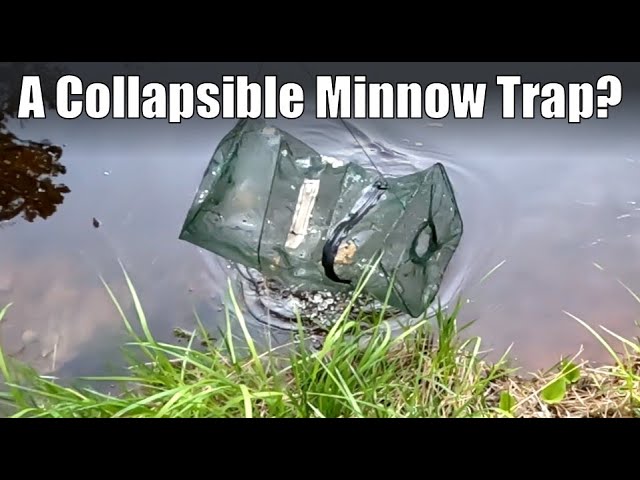 AWESOME Collapsible Minnow Trap In Use /Apocabox Gear in the Field 